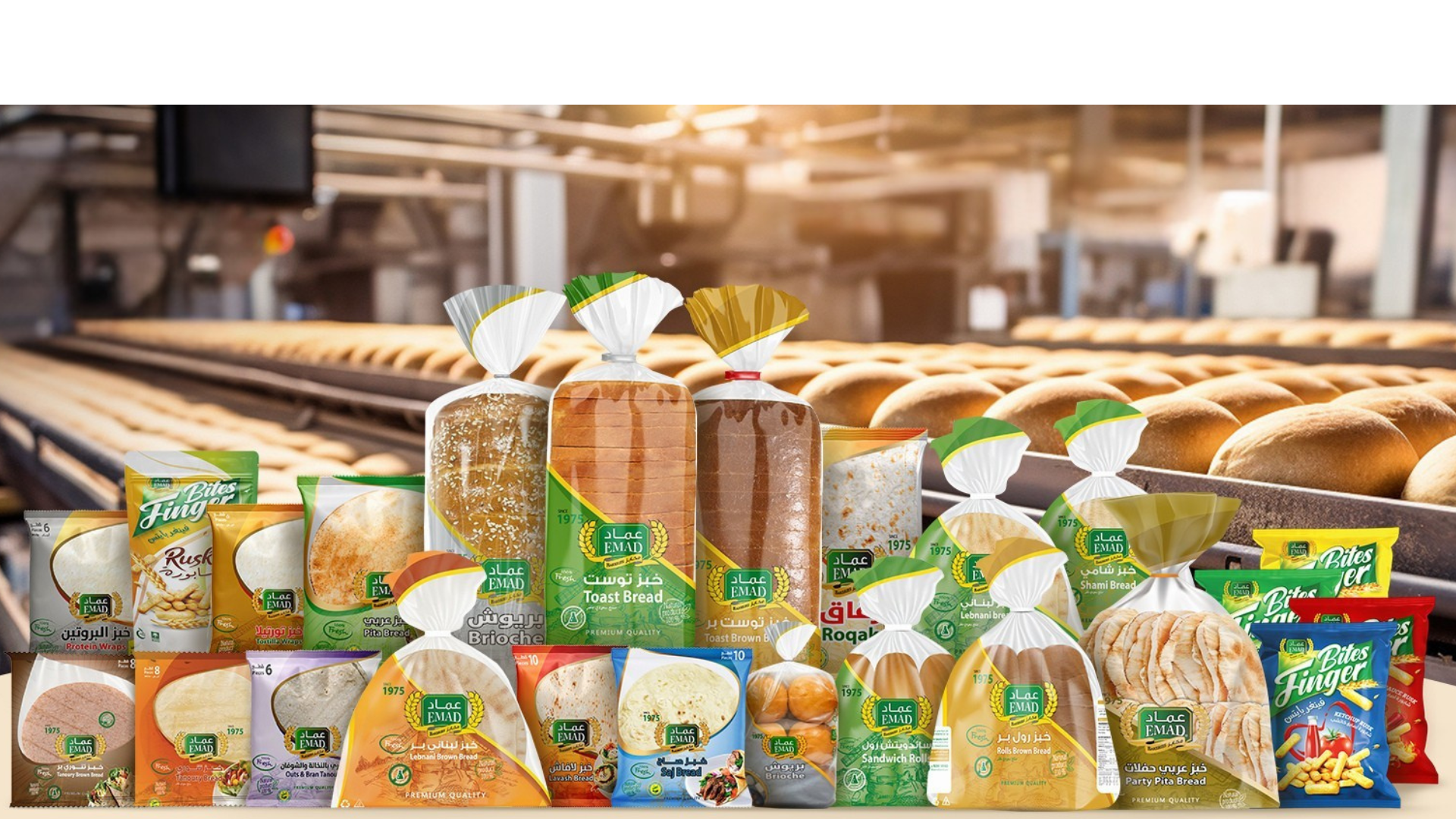 ما هو "لوريم إيبسوم" ؟